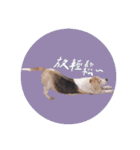 ビーグルななちゃん（個別スタンプ：12）