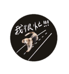 ビーグルななちゃん（個別スタンプ：19）