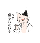 くすり猫（個別スタンプ：5）