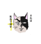 くすり猫（個別スタンプ：8）