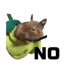 いのまた動物園 DLPvol.1（個別スタンプ：1）