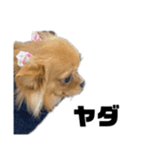 いのまた動物園 DLPvol.1（個別スタンプ：7）