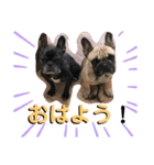 ふれぶる 鹿の子シャーロット＆バンビ2（個別スタンプ：1）