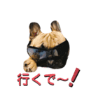 ふれぶる 鹿の子シャーロット＆バンビ2（個別スタンプ：2）