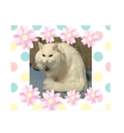 HAPPYFRIEND！（個別スタンプ：1）