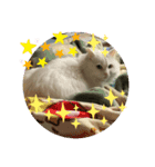 HAPPYFRIEND！（個別スタンプ：2）