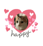 HAPPYFRIEND！（個別スタンプ：3）
