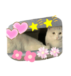 HAPPYFRIEND！（個別スタンプ：6）