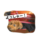 ノエタン♡4（個別スタンプ：2）