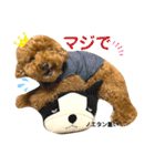 ノエタン♡4（個別スタンプ：14）