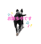 milly's3（個別スタンプ：5）