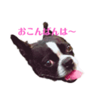 milly's3（個別スタンプ：8）