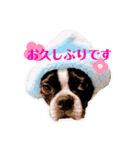 milly's3（個別スタンプ：13）