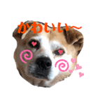 milly's3（個別スタンプ：14）