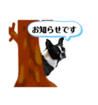 milly's3（個別スタンプ：16）