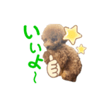 ティナあん（個別スタンプ：1）