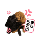 ティナあん（個別スタンプ：8）