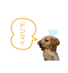 のあ＆ゆめ＆ちわ（個別スタンプ：1）