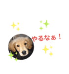 のあ＆ゆめ＆ちわ（個別スタンプ：2）