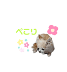 のあ＆ゆめ＆ちわ（個別スタンプ：4）