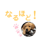 のあ＆ゆめ＆ちわ（個別スタンプ：6）