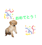 のあ＆ゆめ＆ちわ（個別スタンプ：7）