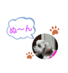 のあ＆ゆめ＆ちわ（個別スタンプ：14）