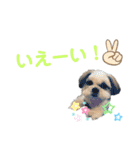 のあ＆ゆめ＆ちわ（個別スタンプ：15）