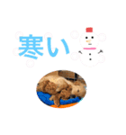 のあ＆ゆめ＆ちわ（個別スタンプ：16）