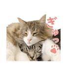 Ta Nous et Mon2（個別スタンプ：1）