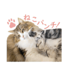 Ta Nous et Mon2（個別スタンプ：2）