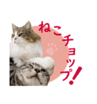 Ta Nous et Mon2（個別スタンプ：3）