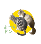 Ta Nous et Mon2（個別スタンプ：5）