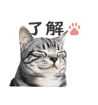 Ta Nous et Mon2（個別スタンプ：6）