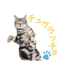 Ta Nous et Mon2（個別スタンプ：8）