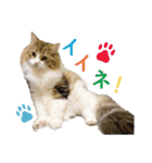 Ta Nous et Mon2（個別スタンプ：9）