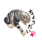 Ta Nous et Mon2（個別スタンプ：14）
