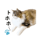 Ta Nous et Mon2（個別スタンプ：15）