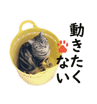 Ta Nous et Mon2（個別スタンプ：18）