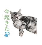 Ta Nous et Mon2（個別スタンプ：19）