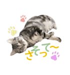 Ta Nous et Mon2（個別スタンプ：20）