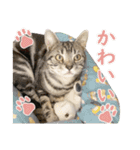 Ta Nous et Mon2（個別スタンプ：22）