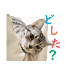 Ta Nous et Mon2（個別スタンプ：23）