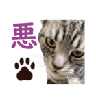 Ta Nous et Mon2（個別スタンプ：24）