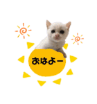 うちの子スタンプ☆ゆうこさんfamily☆（個別スタンプ：1）
