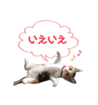 うちの子スタンプ☆ゆうこさんfamily☆（個別スタンプ：10）