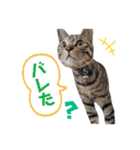 うちの子スタンプ☆ゆうこさんfamily☆（個別スタンプ：20）