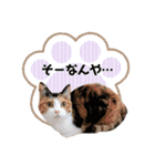 うちの子スタンプ☆ゆうこさんfamily☆（個別スタンプ：26）