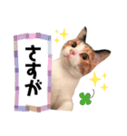 うちの子スタンプ☆ゆうこさんfamily☆（個別スタンプ：27）