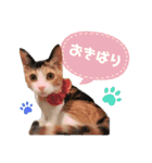 うちの子スタンプ☆ゆうこさんfamily☆（個別スタンプ：29）